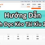tài xỉu 2.5-3 trái